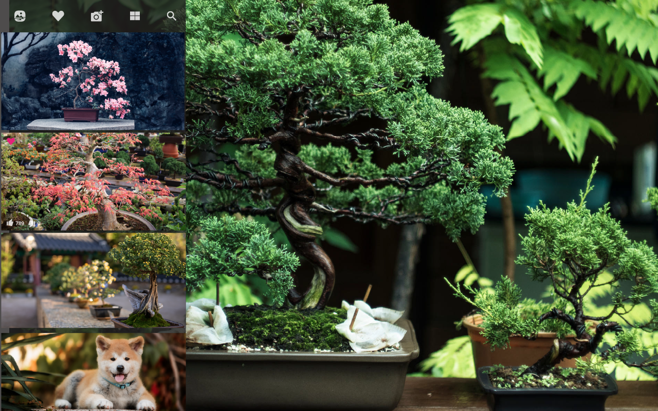 Growing on You: The blog about Bonsai, Gardens, Birds and Nature – Tagged  bonsai care – Zen Garden and Bonsai