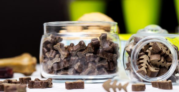 make your own dog treats homemade