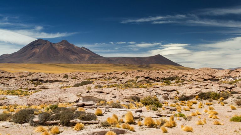 Atacama desert, Chile