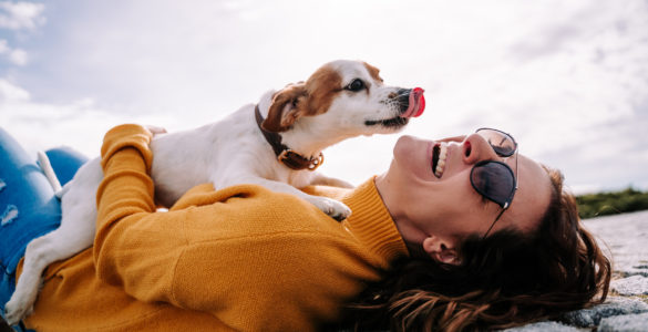 dog love