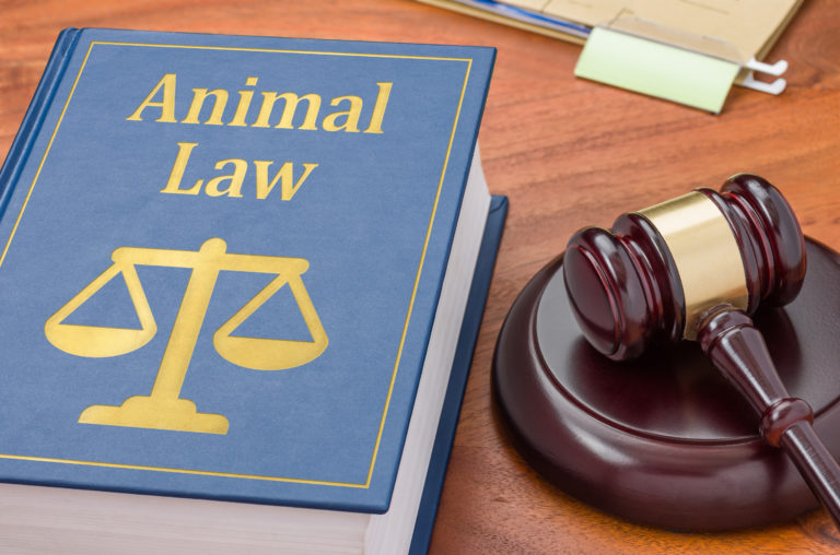 animal laws