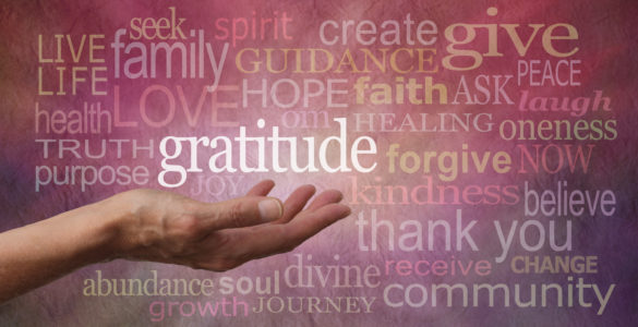 gratitude