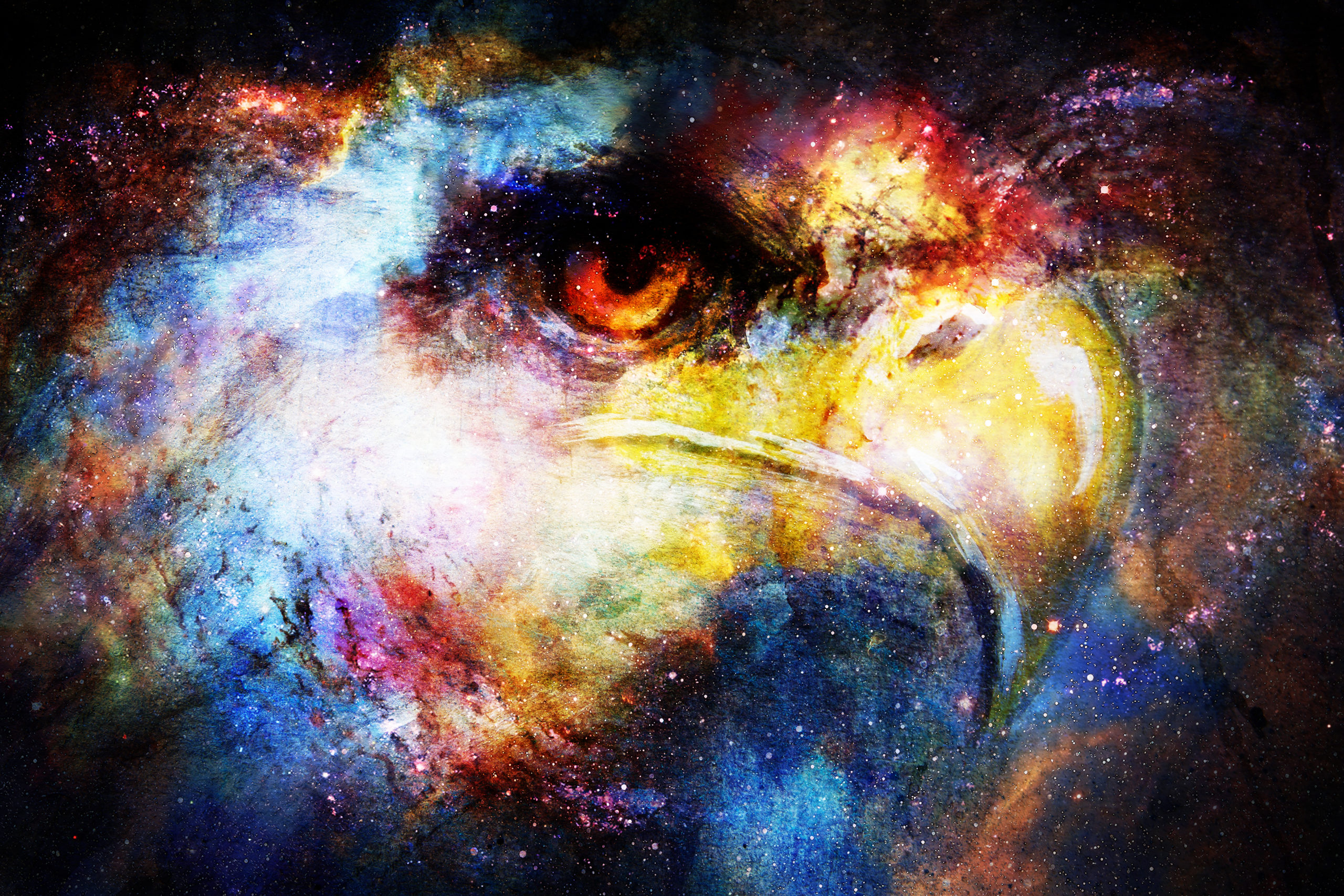 spirt animal fantasy eagle