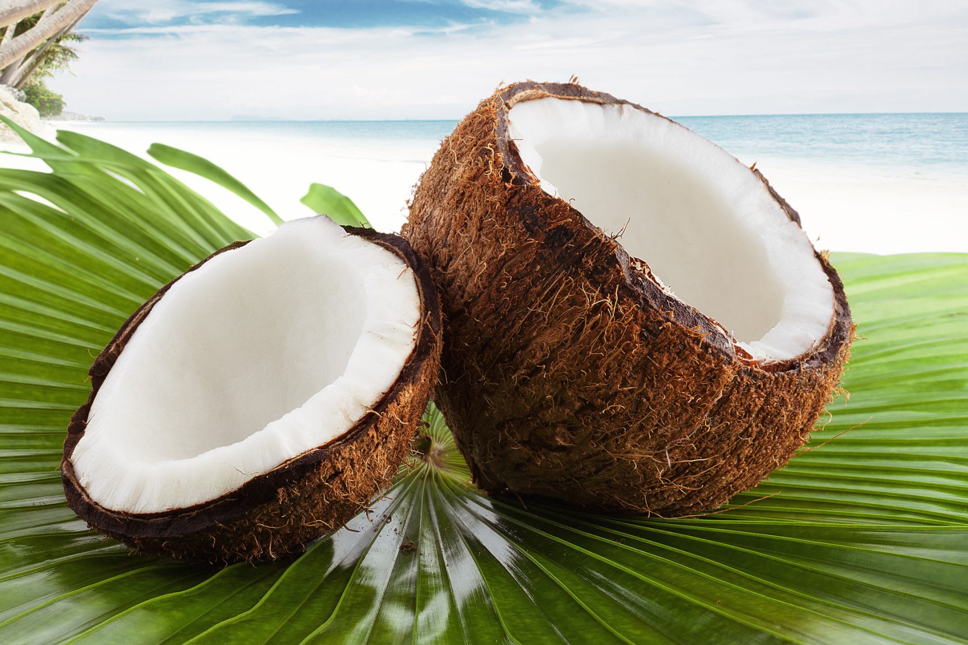 coconut