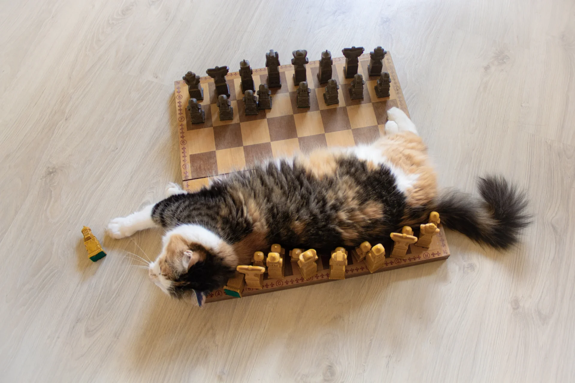 cat playing chess