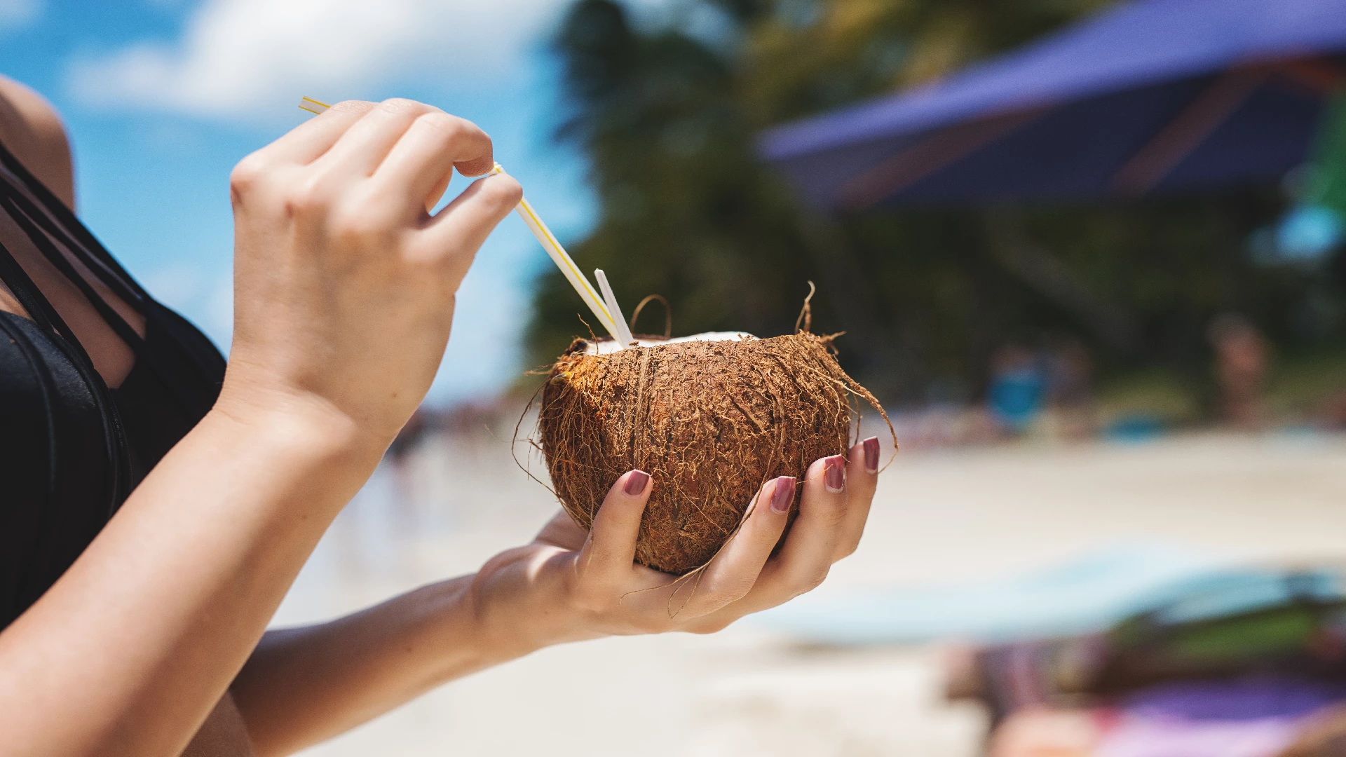 coconut milk sip from a coconut fruit