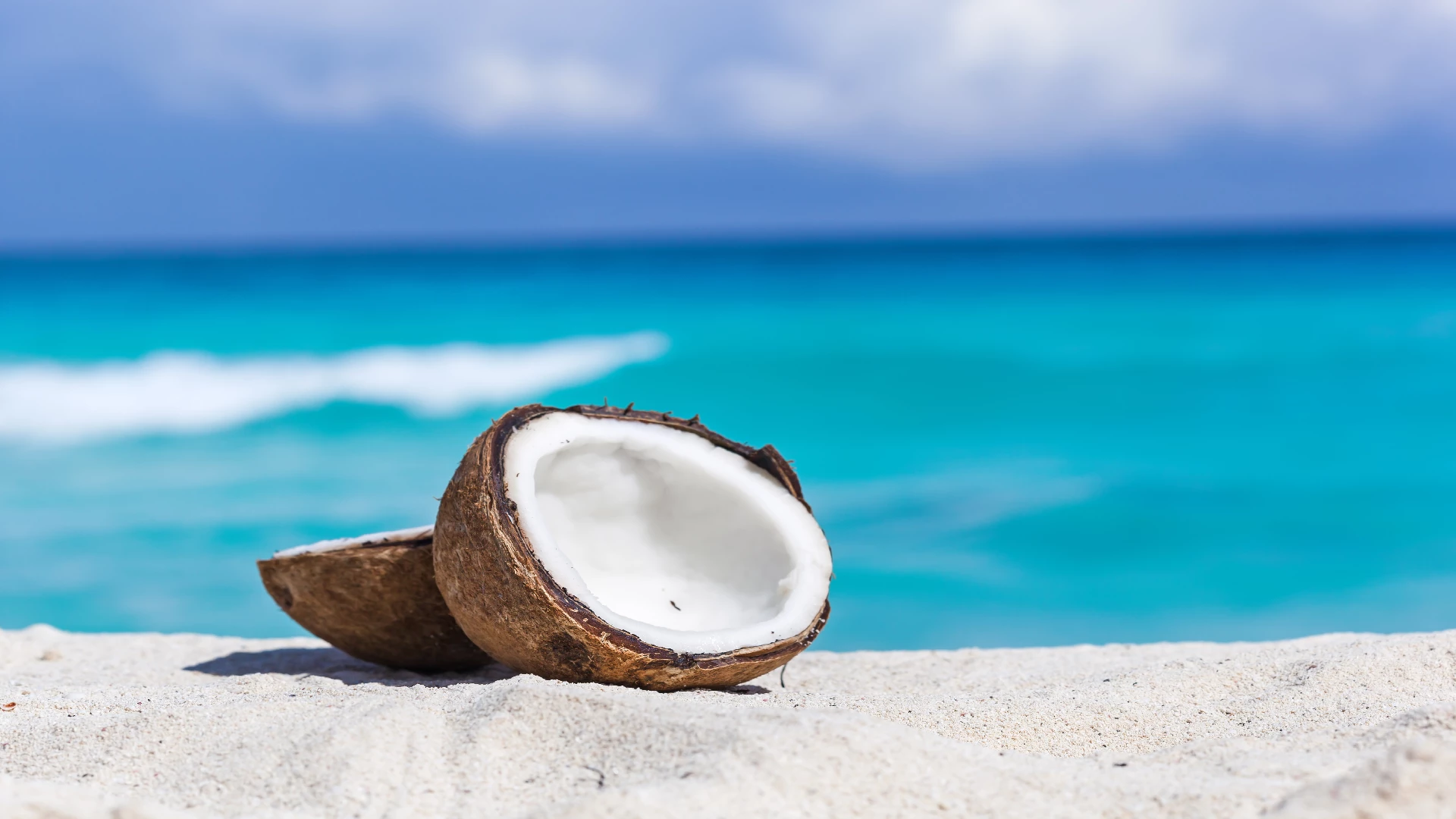 coconut by the beach