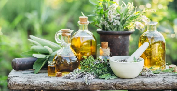 medicinal plants