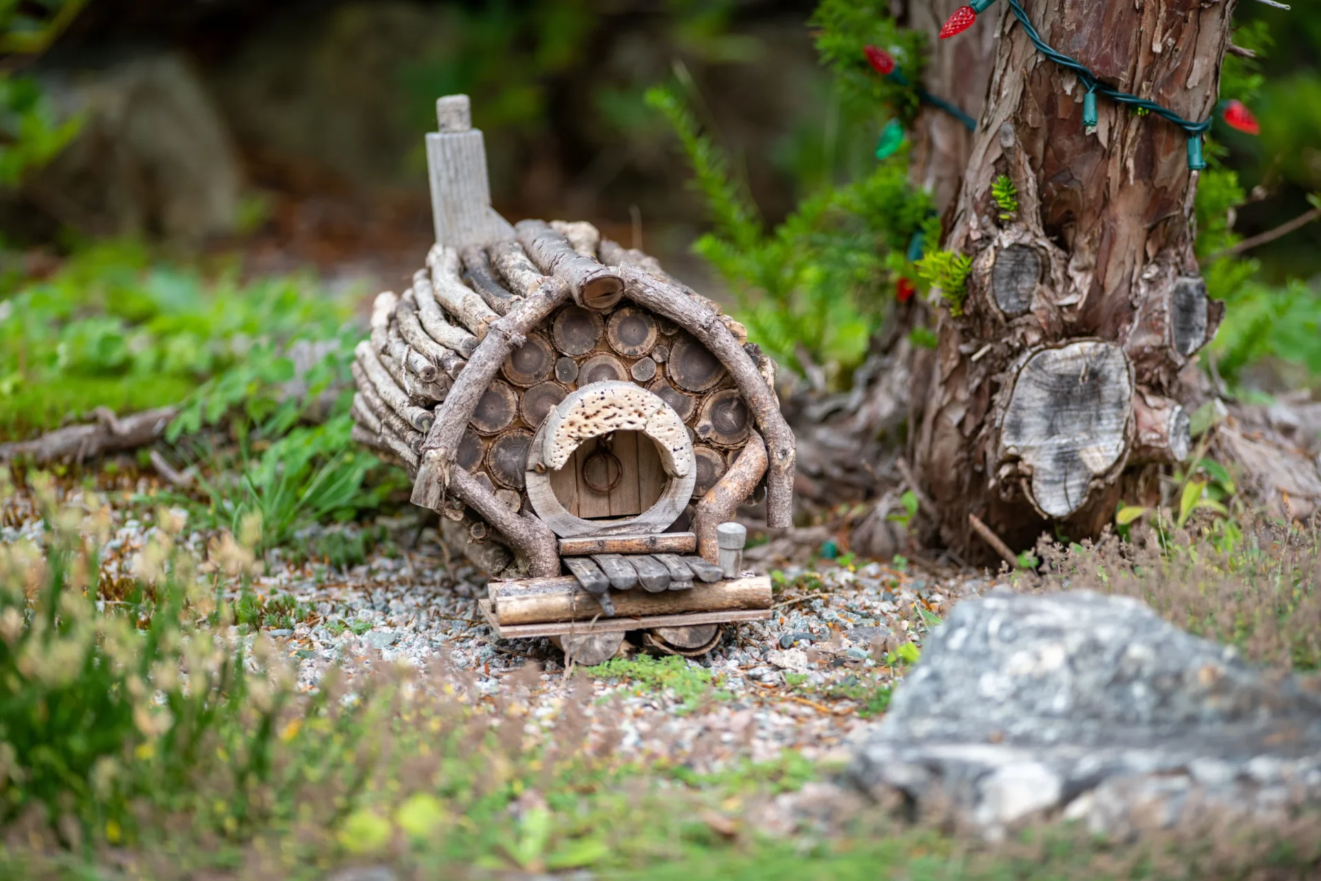 fairy house