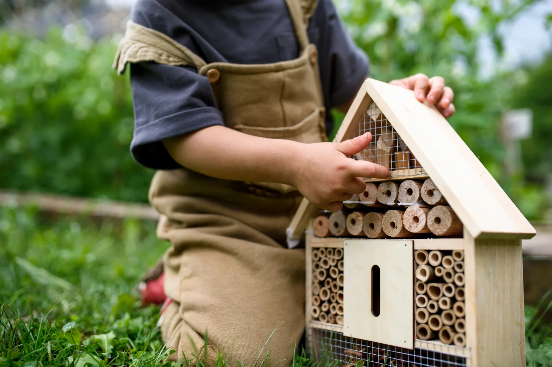 sustainable gardening