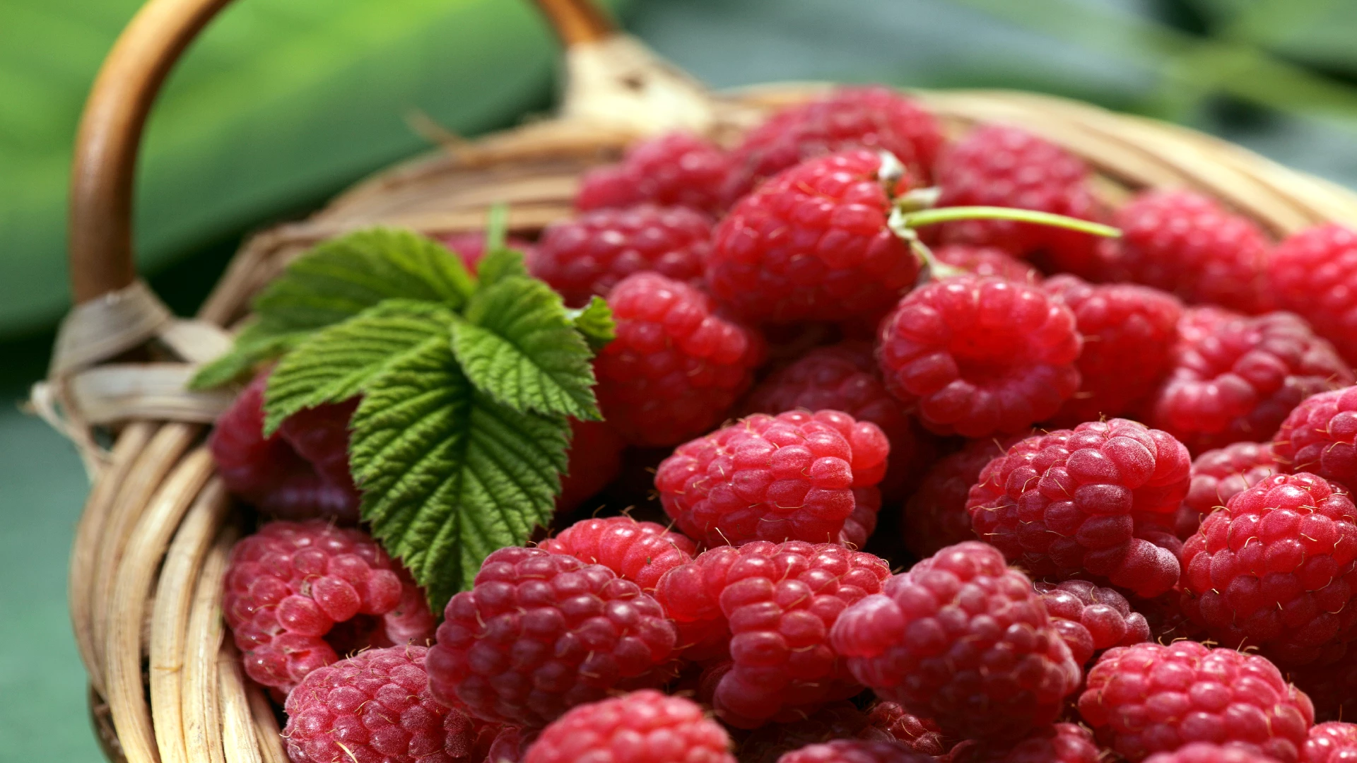 raspberries