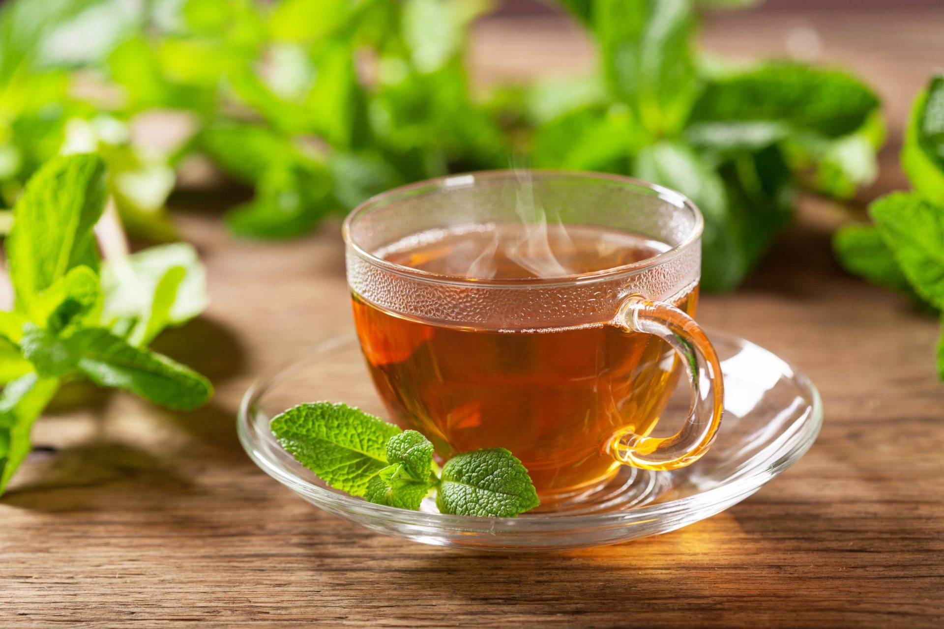 5 Interesting Spearmint Tea Benefits and What You Need to Know