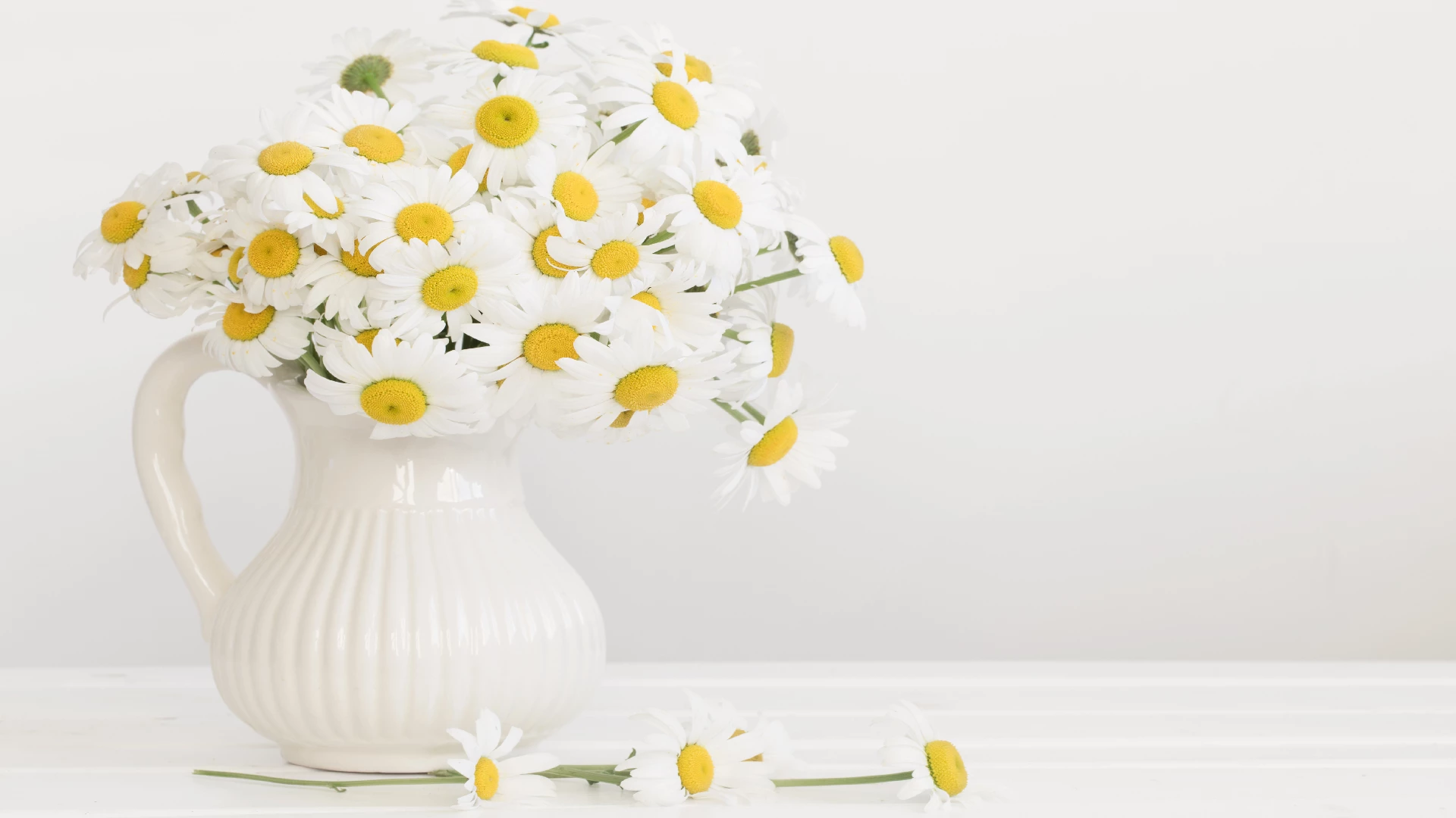 daisy bouquet